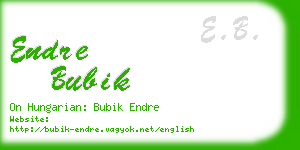 endre bubik business card